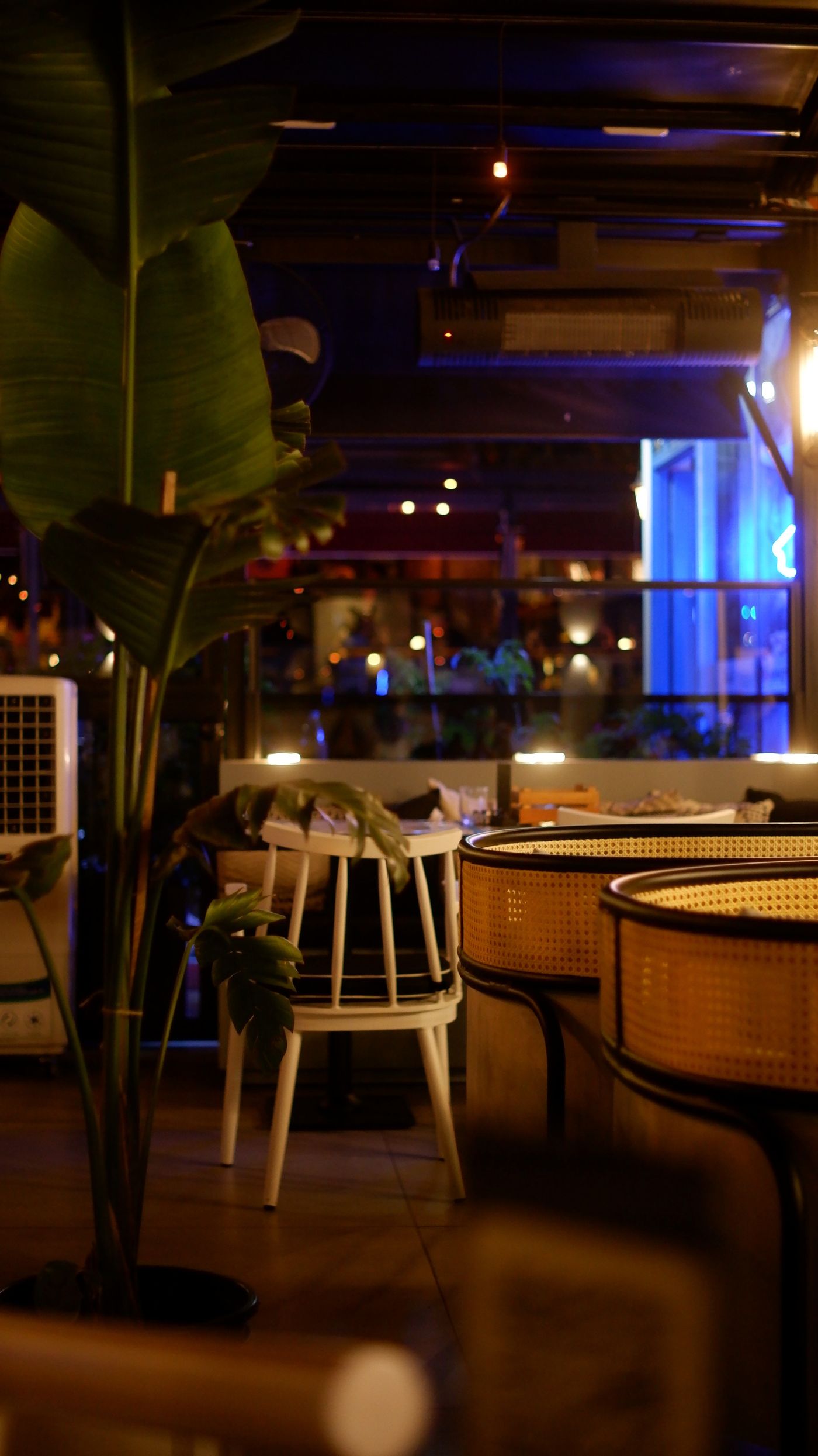 Vlídný interiér restaurace s ambientním osvětlením a zelenými rostlinami